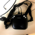 Z-Mkt | SHIDU Portable Voice Amplifier | Model SD-S611